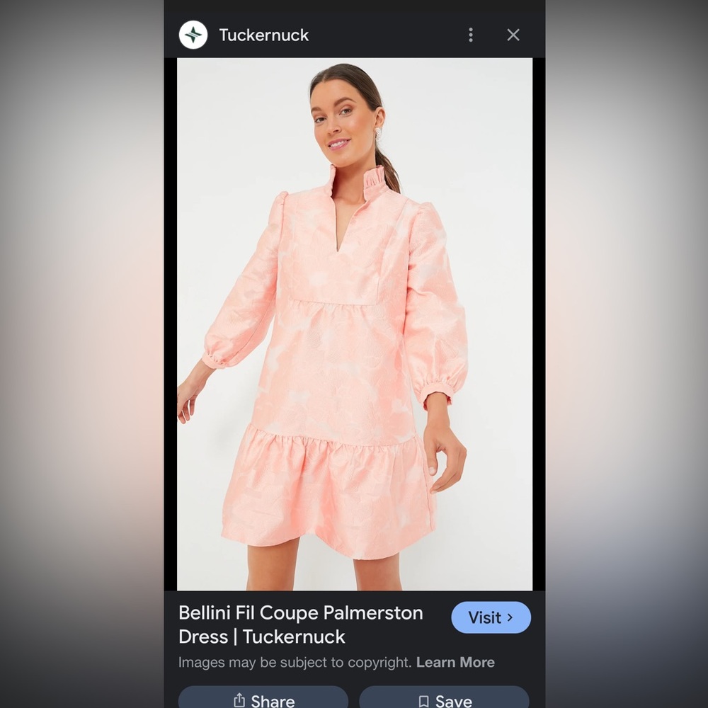 Tuckernuck Bellini fil coupe dress size Medium